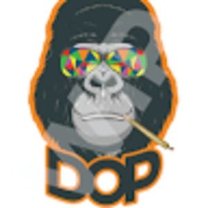 Meet your Posher, Derek